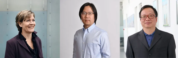 几个穿着西装的人
描述已自动生成